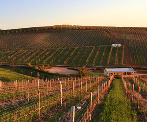 The Hemel-en-Aarde Valley